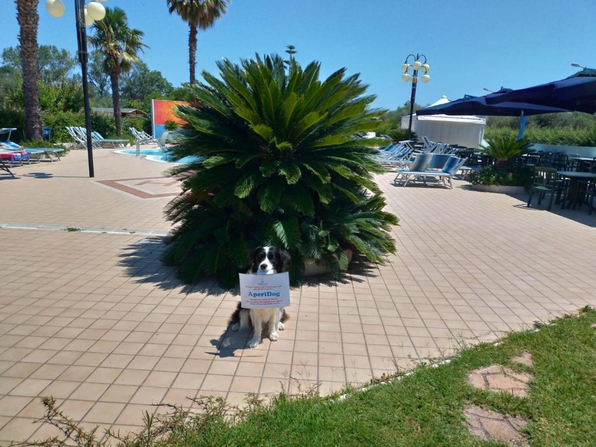 Hotel Marina Roseto Degli Abruzzi Exteriér fotografie